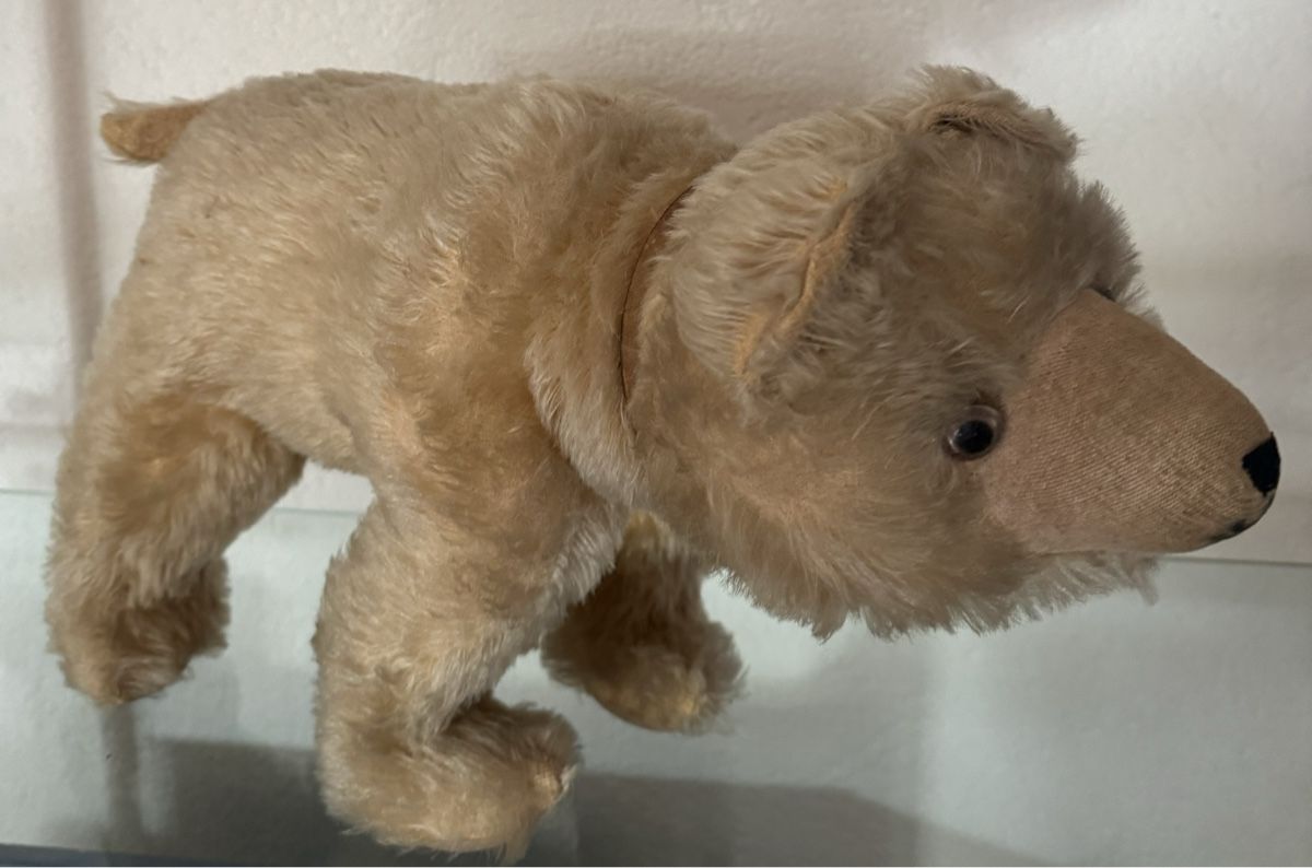 Spielzeuge: Teddy – Gebraucht aus Binningen von kal_5nsj 4