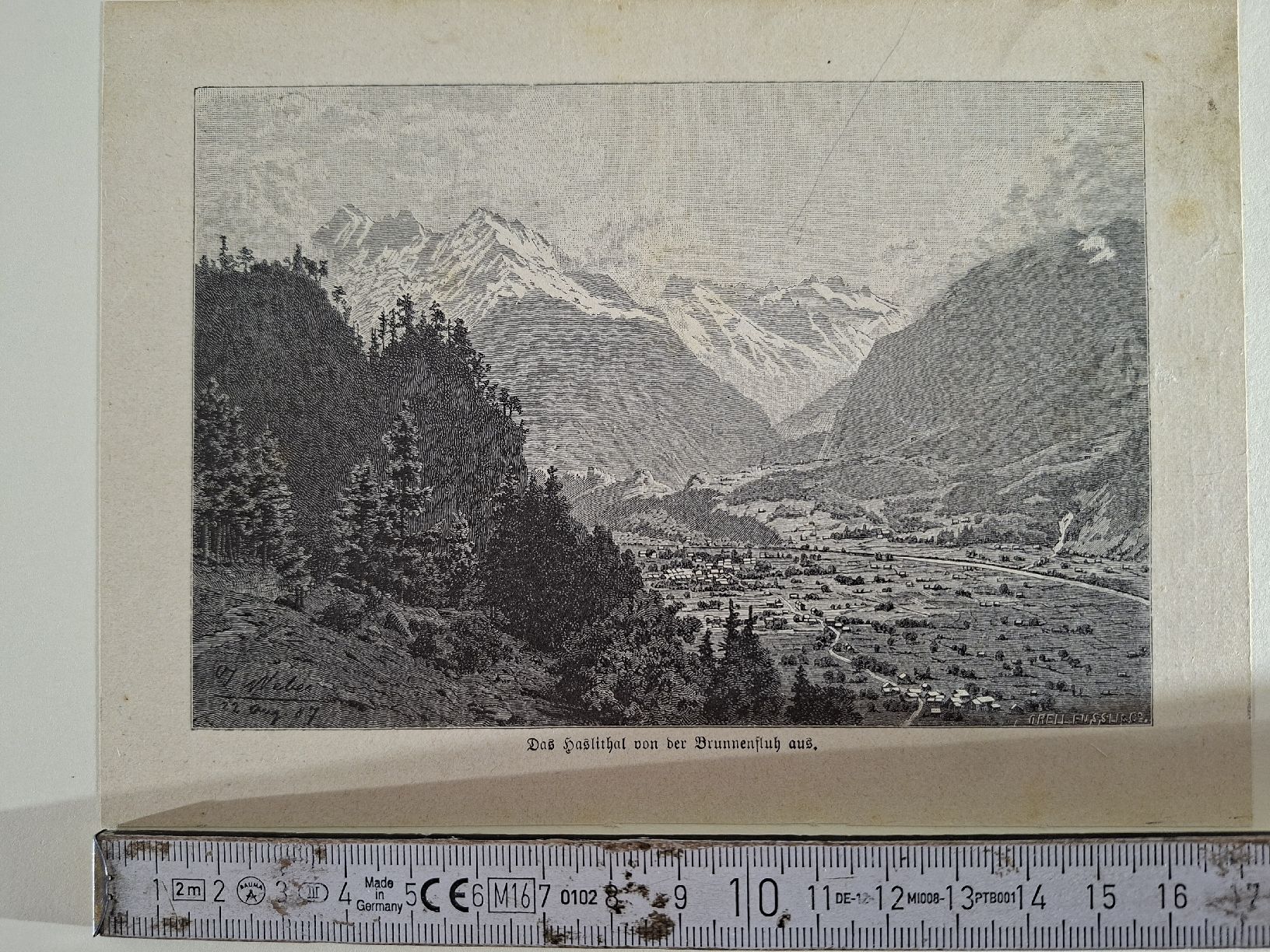 Incisioni: Lot 41 , 5 Stiche  – Usato da Grindelwald venduto da carro5 7