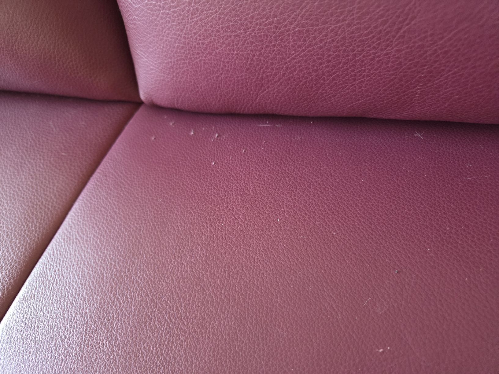 Divani: Sofa Ramano – Usato da Thalwil venduto da andreas.biberstein 5