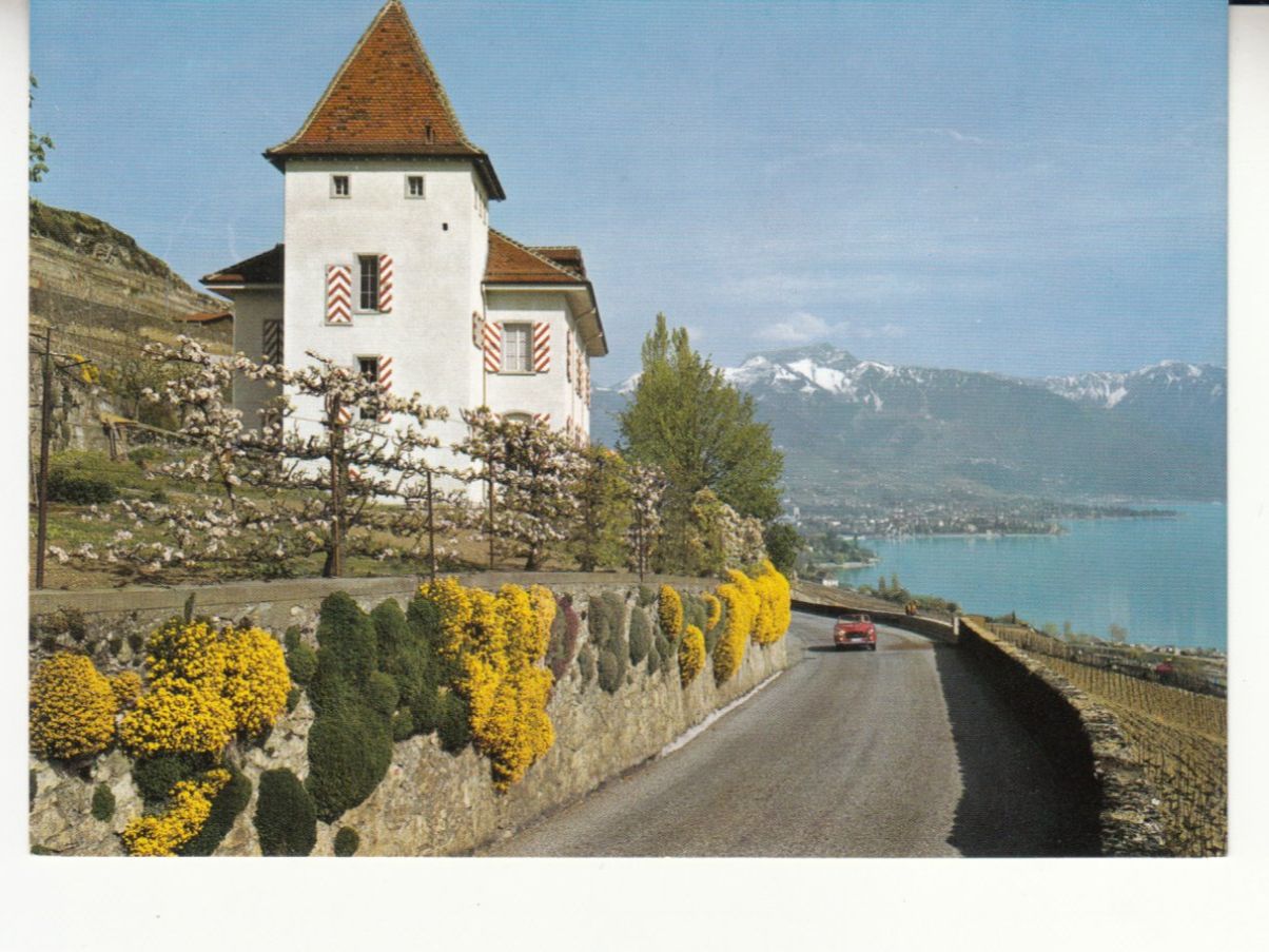 Cartoline postali: Lac Léman Vevey, ca. 1970 – Usato da Bürglen TG venduto da StampGraf