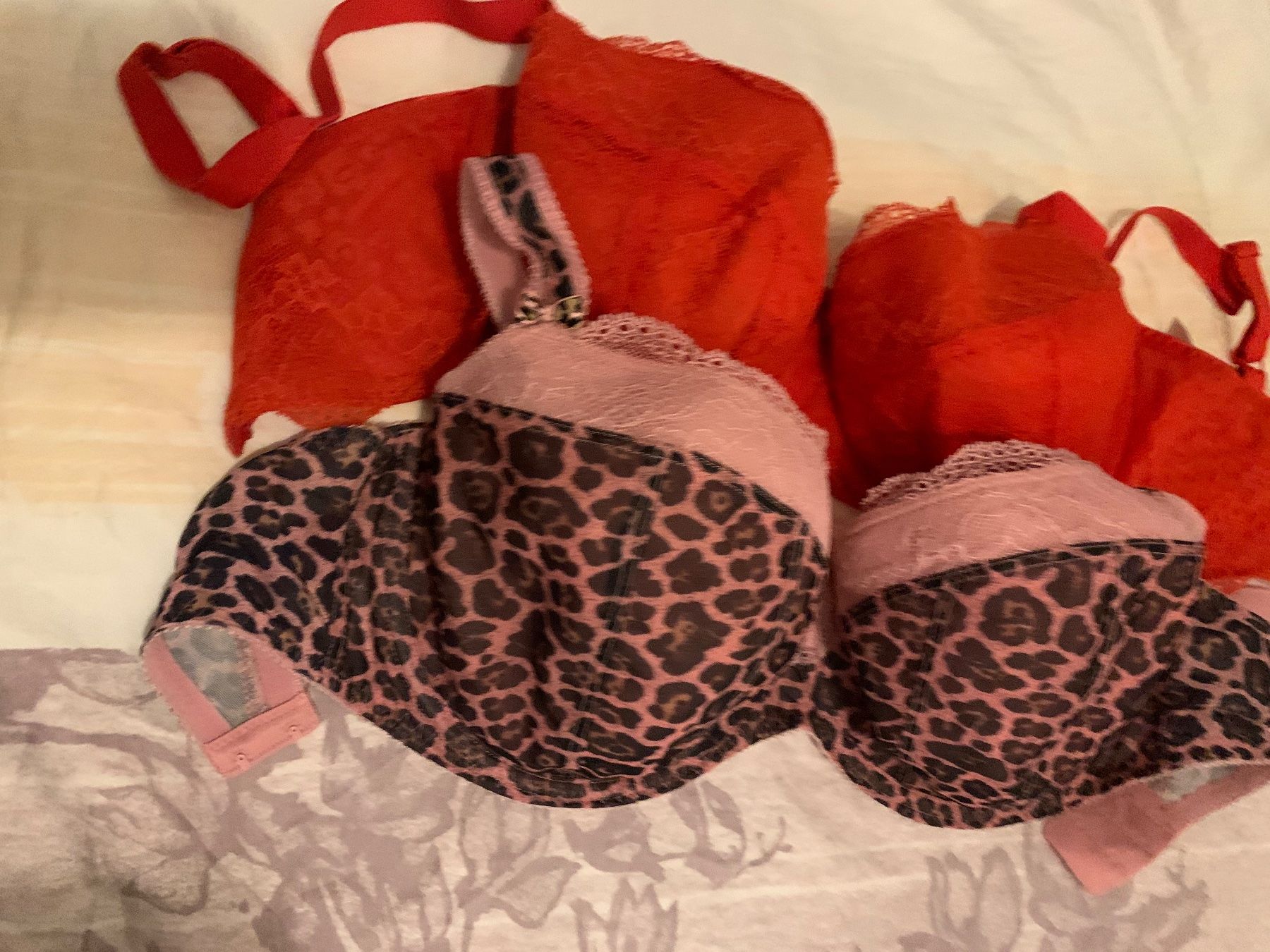 Altra biancheria intima: 2x Freya BH Gr. 70i rot+ rosa-leopard – Usato da St. Gallen venduto da mar_rkm7