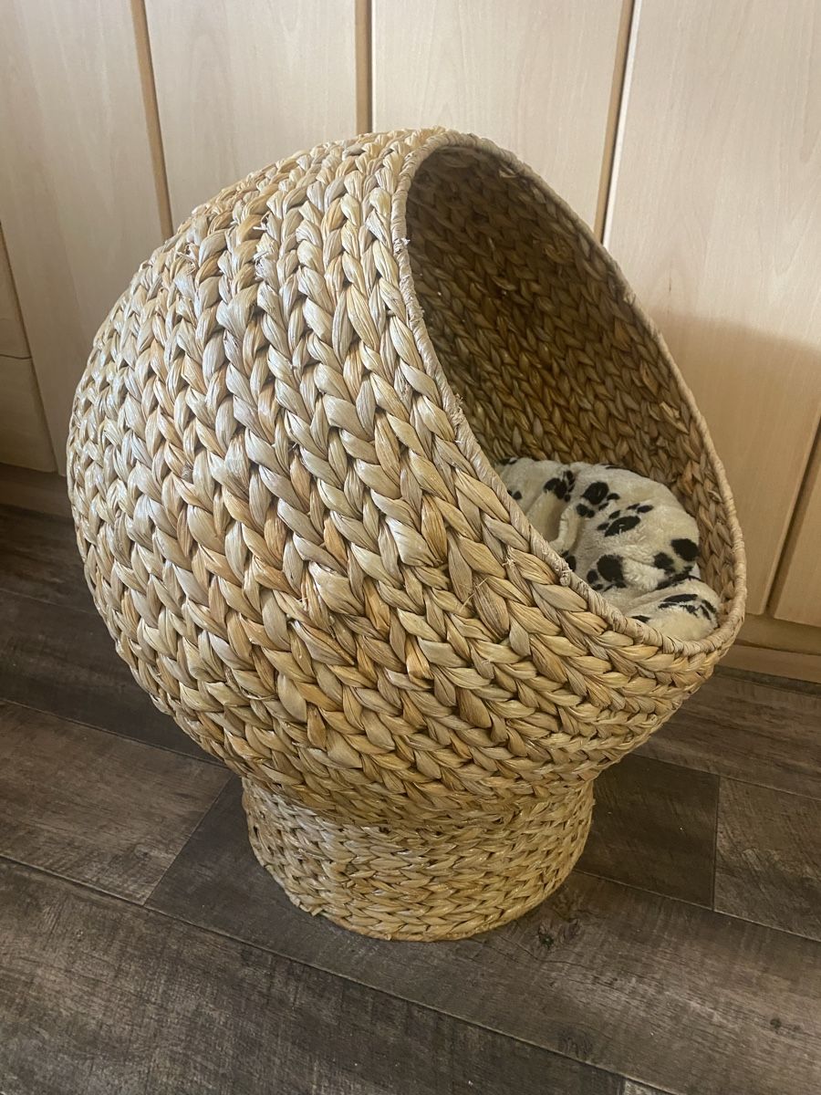 Cucce & Letti: Rattan Hunde/Katzenkorb Bett – Usato da Seewen SZ venduto da shaky01 1