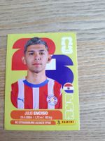 Panini Sticker PAR 15 Julio Enciso 