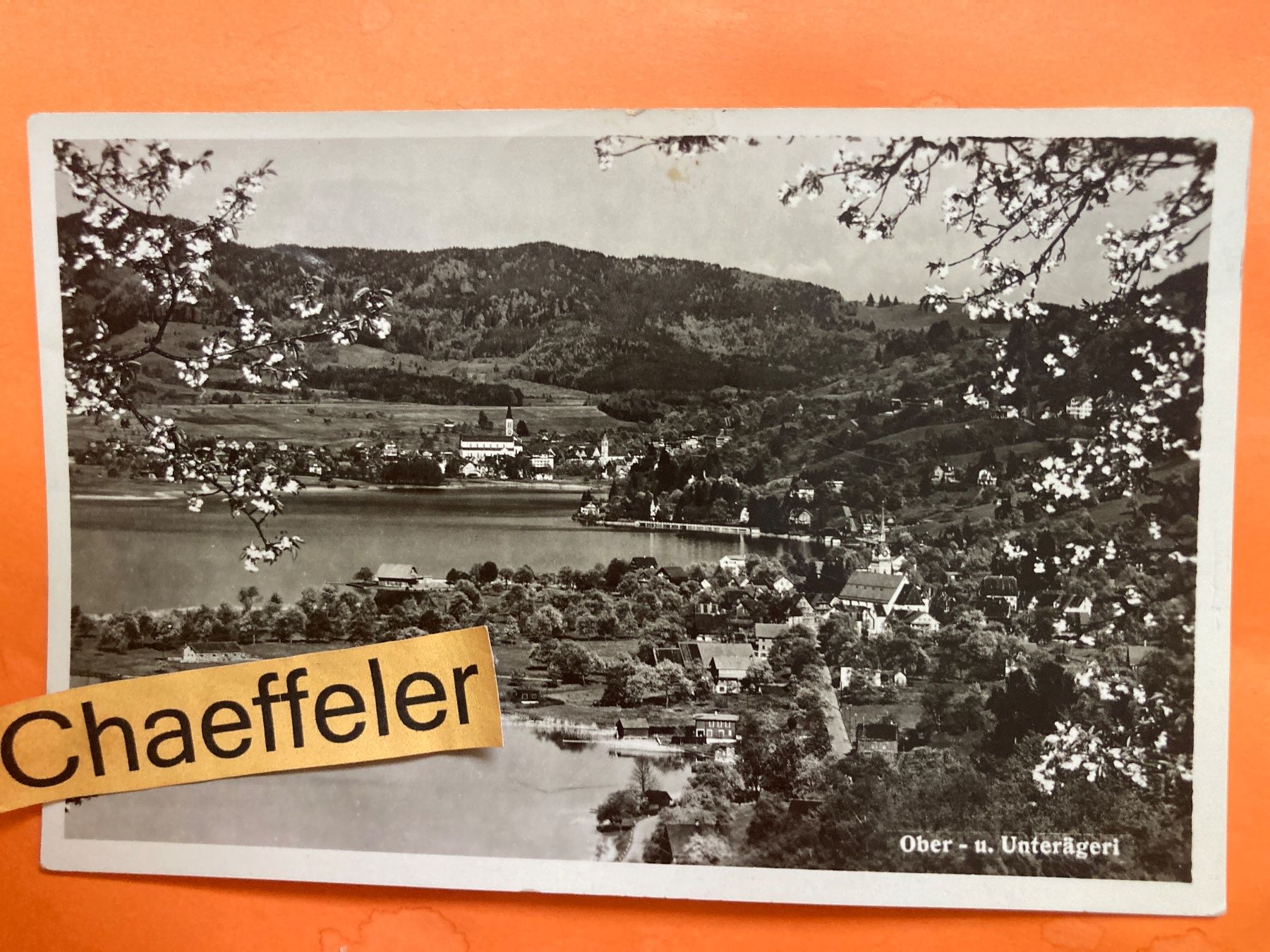 Cartes postales: Ober - u. Unterägeri – D'occasion à Zürich par Chaeffeler