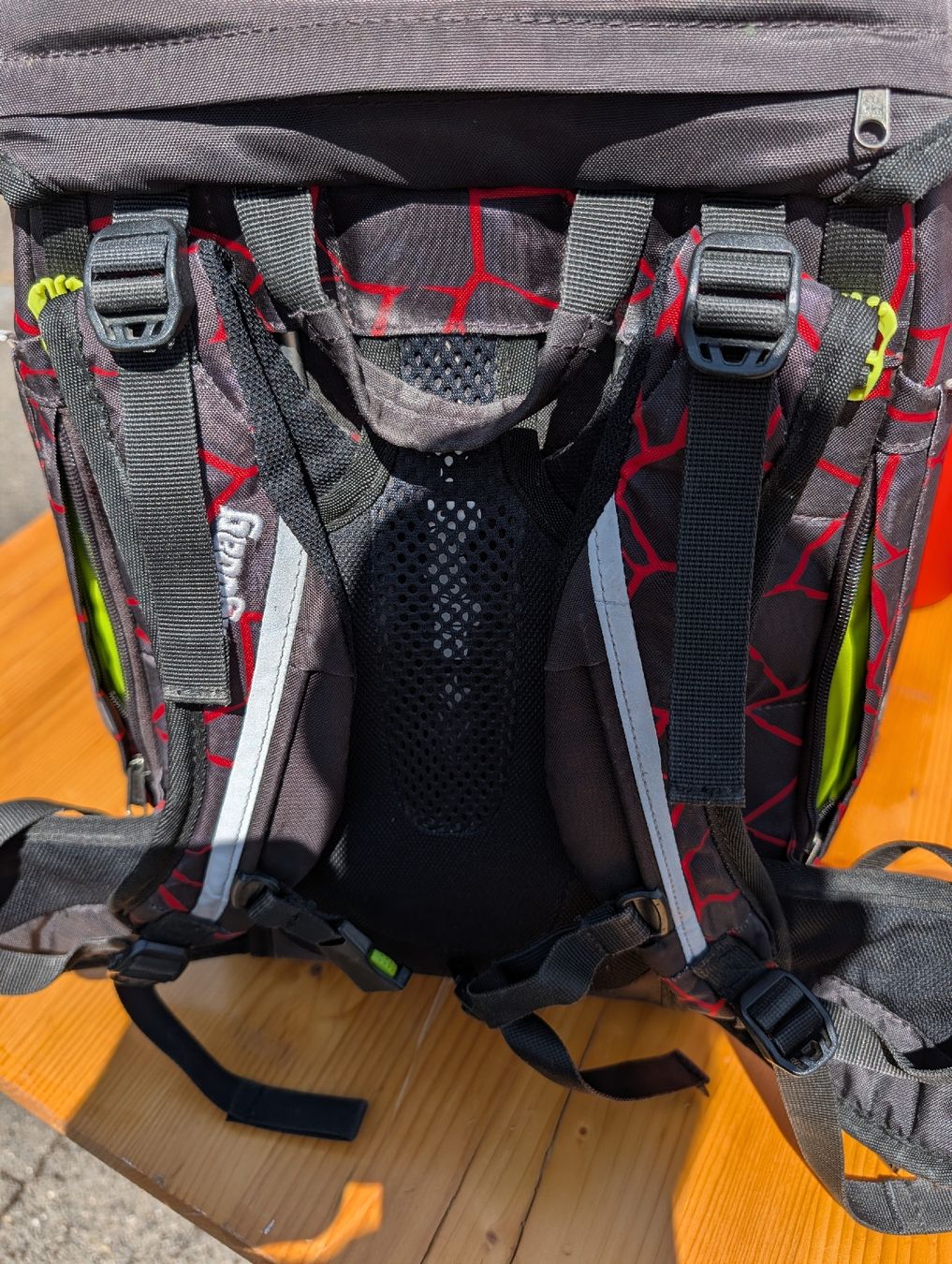 Ergobag Borse & Zaini: Ergobag Schulsack inkl. Turnsack und Etuis – Usato da Allschwil venduto da Novi1 3