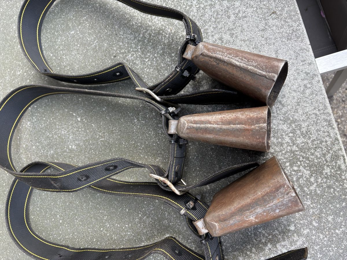 Glocken & Treicheln: 3 Gotthardt NR 3 – Gebraucht aus Schangnau von Roseggli82 6