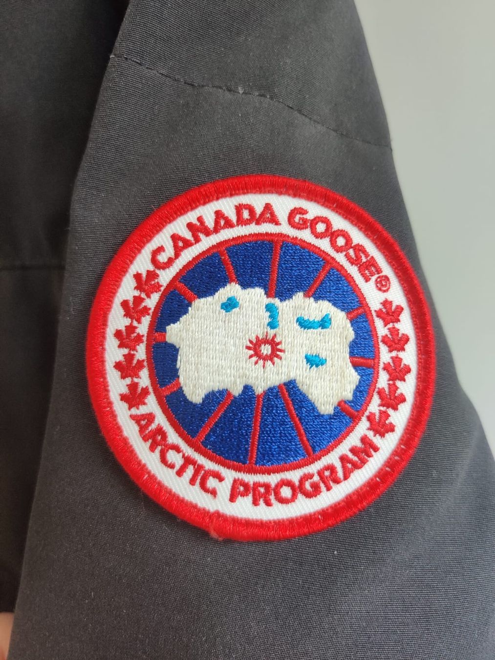 Canada Goose Jacken: Canada Goose Winterjacke Damen – Gebraucht aus Düdingen von Boongo 2