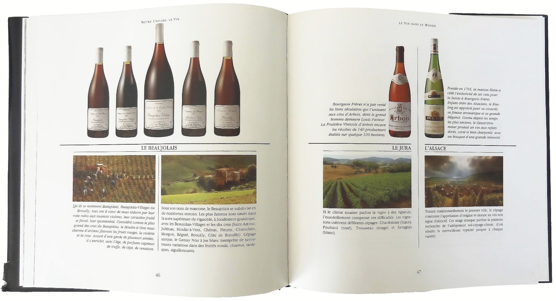 Libri: NOTRE UNIVERS - © 1990 "Le Vin" – Usato da Onex venduto da gonsla 3