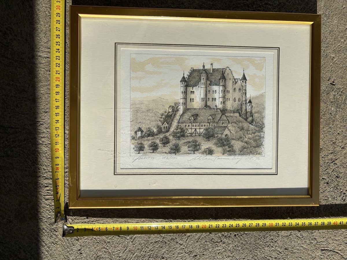 Grafica & Litografie: Schloss Sonnenberg, handkoloriert durch C. Schweizer – Usato da Frauenfeld venduto da Fubech