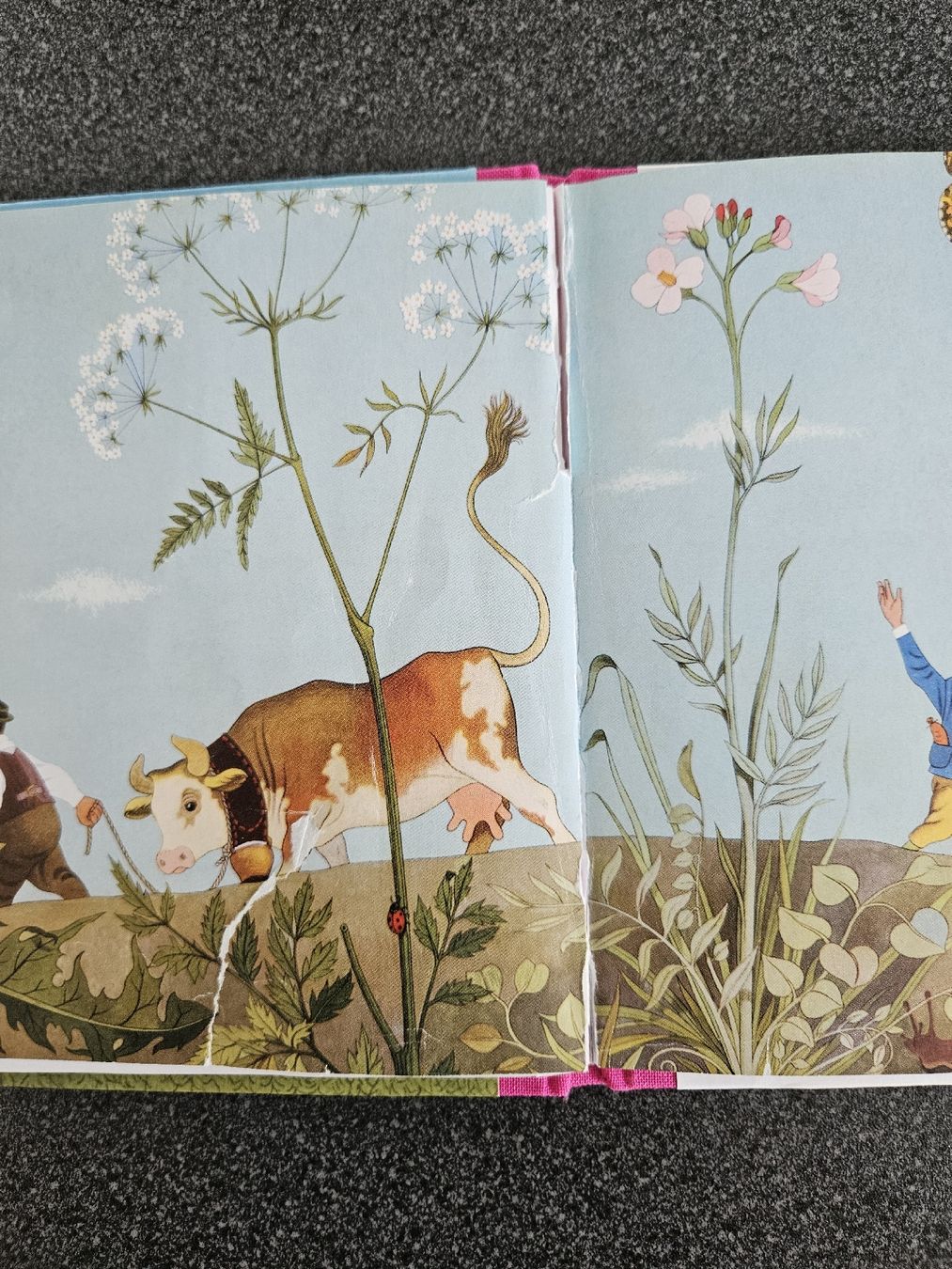 Bücher: Brüder Grimm: Hans im Glück Kinderbuch – Gebraucht aus Büron von rs_83 2