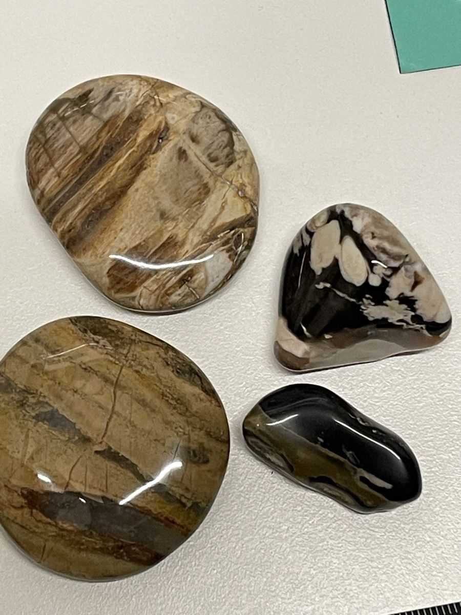 Minerali & Pietre curative: Heilstein / versteinertes Holz / Edelstein – Usato da Rümlang venduto da euqinom16 1