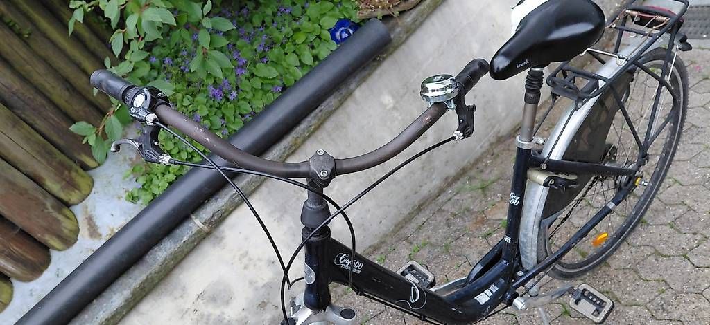 Biciclette: Damenfahrrad – Usato da Thun venduto da acale 2