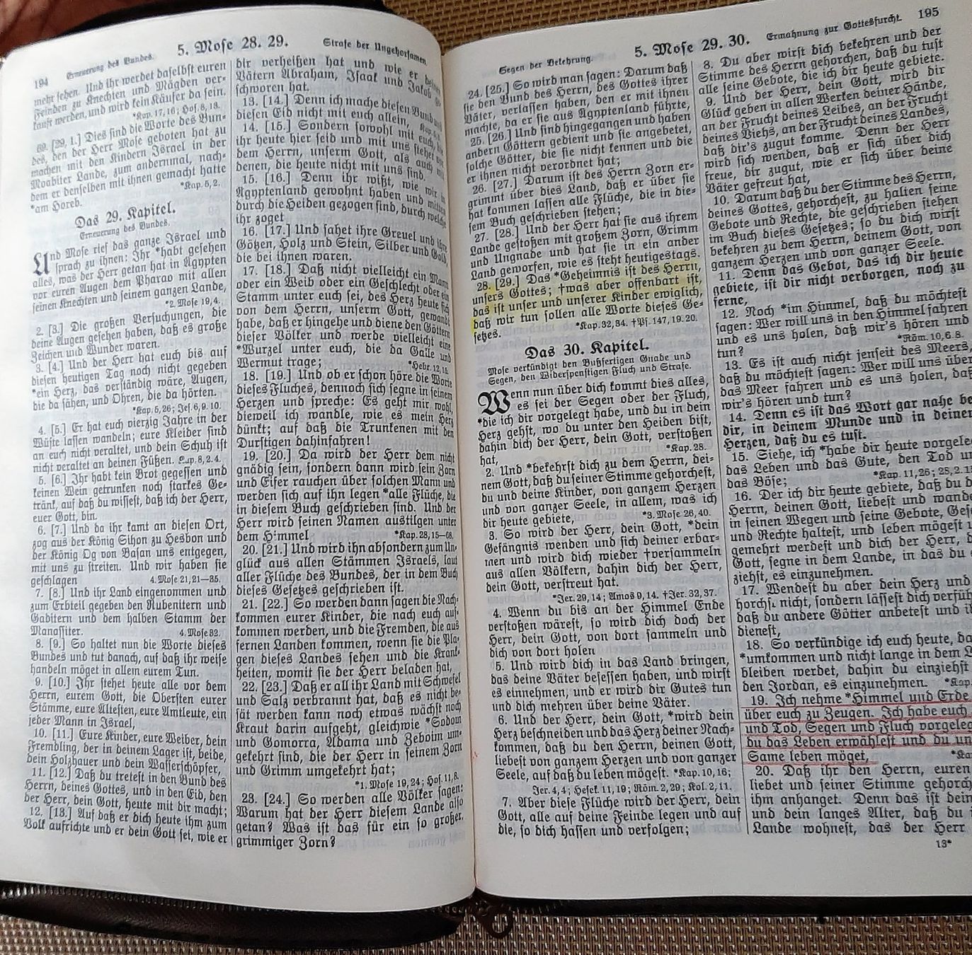 Libri: Bibel Wien 1951 – Usato da Zürich venduto da Zurich 3
