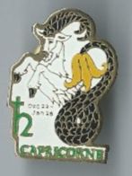 Steinbock Pin