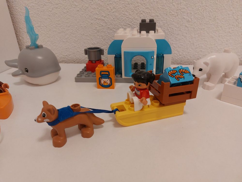 LEGO Duplo 10803 Arktis | Kaufen Auf Ricardo