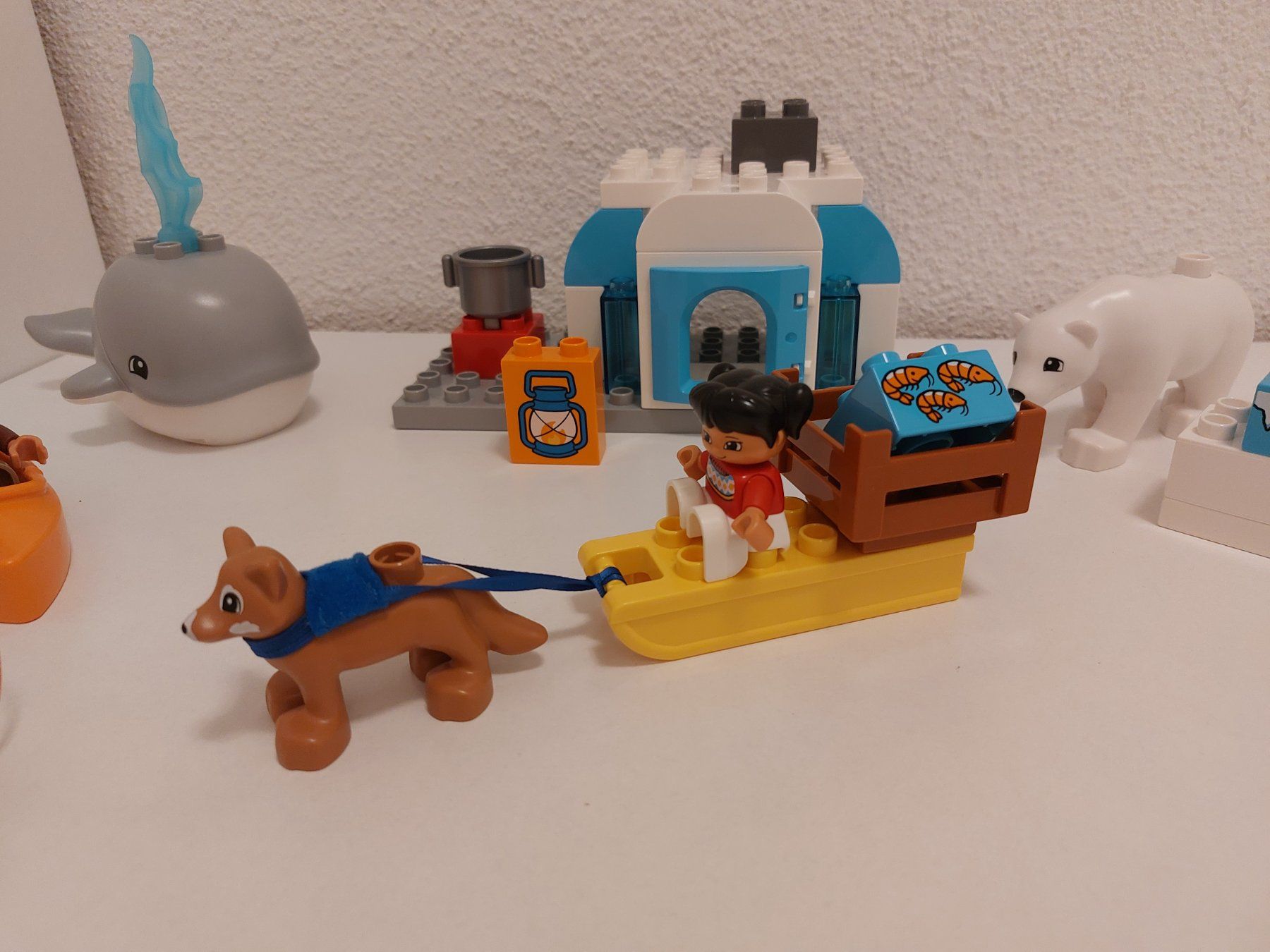 Lego Giocattoli: LEGO Duplo 10803 Arktis – Usato da Balterswil venduto da Steineparadies 2