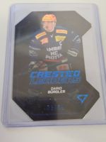 25/26 Sportzoo, National L., Crested Leaders/65, BürglerHCAP