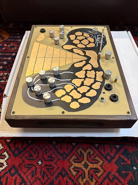 Soma Laboratory Strumenti musicali: SOMA Enner – Usato da Basel venduto da prettyrandom 4
