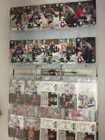 Vendo lotto di carte da collezione hockey svizzero