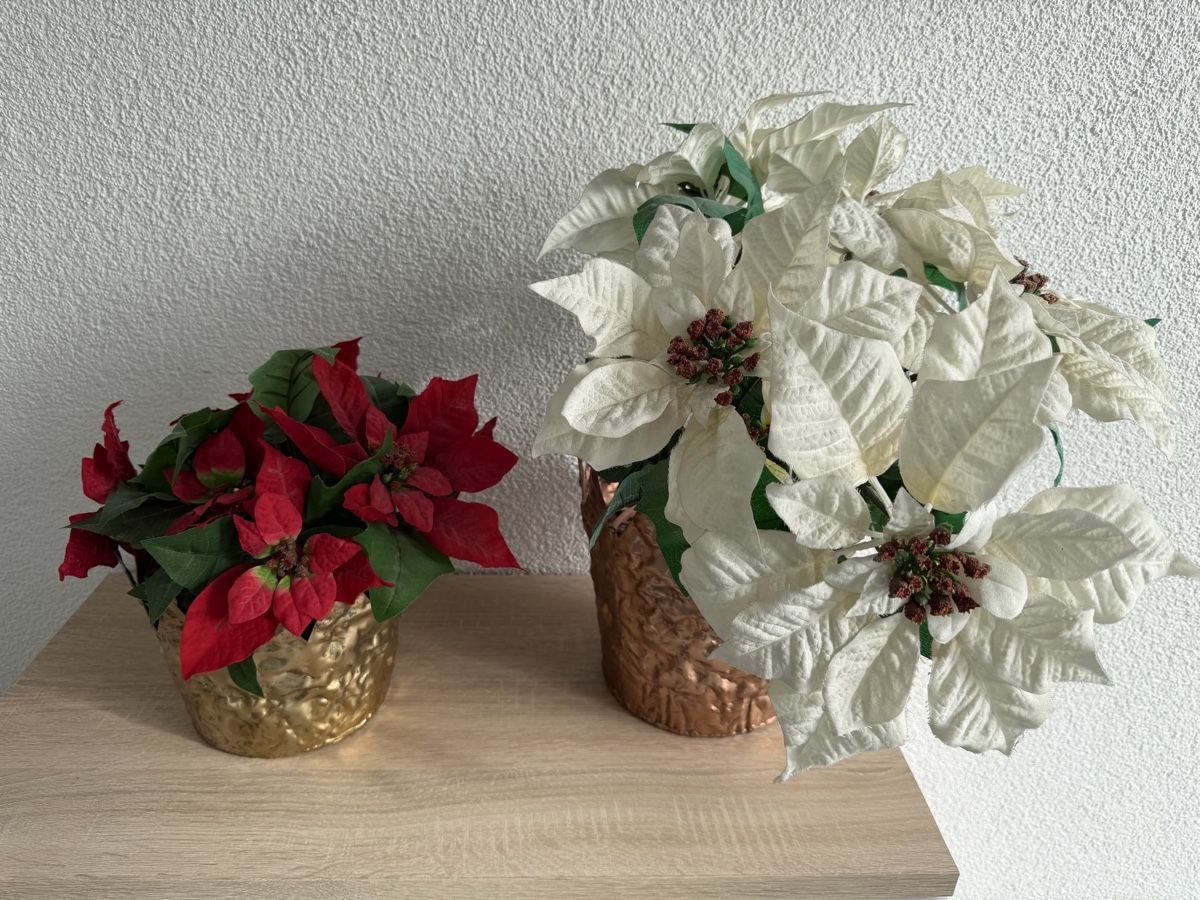 Tutte le decorazioni: Deco Weihnachtsstern Kunstblumen – Nuovo (secondo la descrizione) da Bettlach venduto da Tradenet100