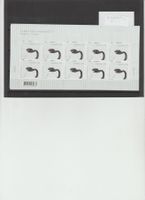 Biennale 2013 1 KB **