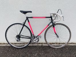 Rennvelo Regent
