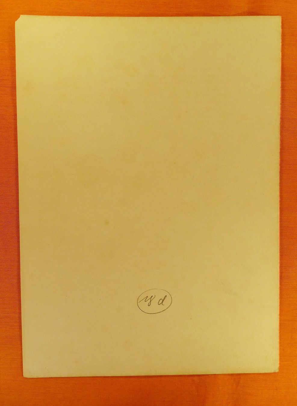 Grafica & Litografie: CURCUMA ZEDOARIA, LITHOGRAPHIE UM 1880 – Usato da Grüningen venduto da Kartensammler 5