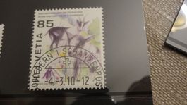 2010 Biodiversität ET SCHANZENPOST