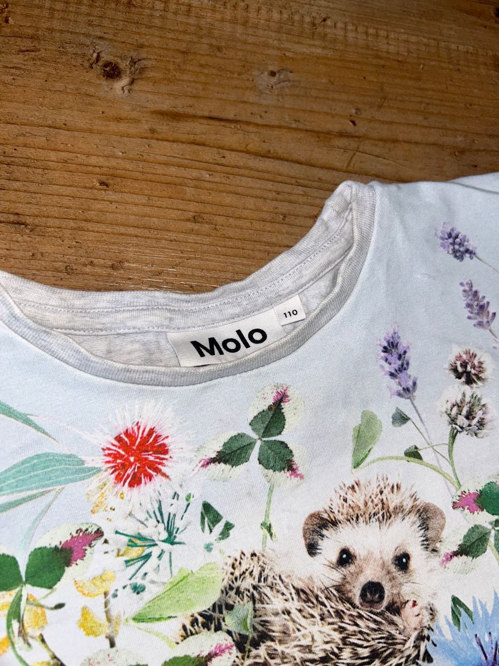 Molo Chemises, T-shirts & Polos: Shirt Molo mit Igel 104/110 – D'occasion à Safenwil par 2hand_aber_wertvoll 1