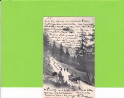 St. Moritz-Dorf, Pferdegespann