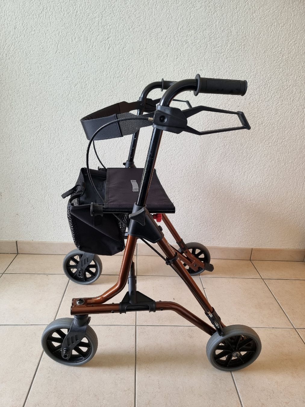 Ausili per la deambulazione: Deambulateur Leitz Taima – Nuovo (secondo la descrizione) da Bevaix venduto da Lemana 1
