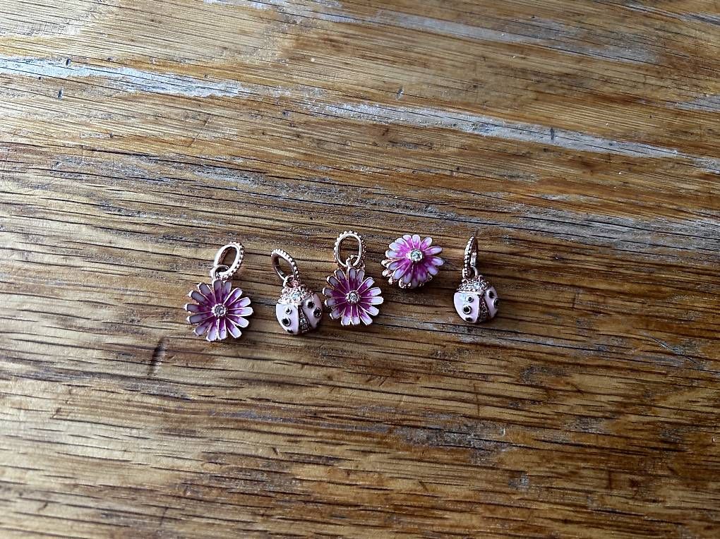 Pandora Anhänger: set aus 5 pandora anhänger – Neu (gemäss Beschreibung) aus flims dorf von schmetterling61281 1