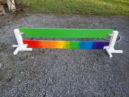 Neue Planken, gerade, 3m lang