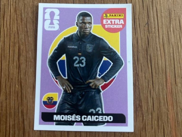 Panini Carte collezionabili: Extra Sticker Panini Caicedo und Heungmin – Nuovo e nell'imballaggio originale da Pratteln venduto da Elitheo
