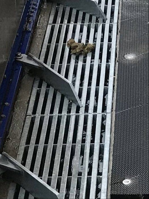 Delaval Alle Maschinen: Schubstangen Entmistung – Gebraucht aus Wiesenberg von enzian026 3