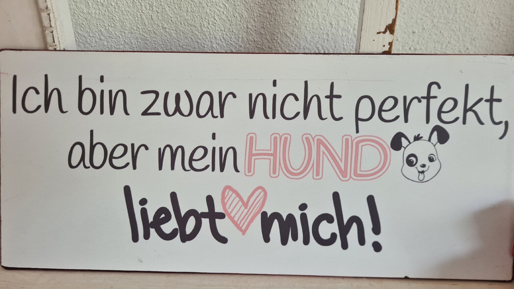 Insegne: Schild für Hundefreunde – Nuovo e nell'imballaggio originale da Böttstein venduto da decodor-angi 2