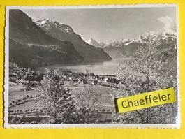 1942. V 8664 Brunnen. Urnersee