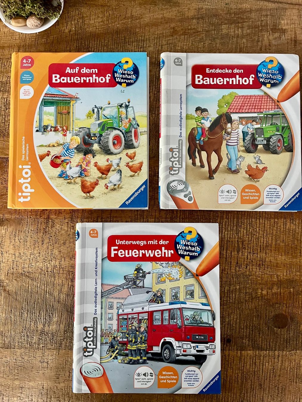 Libri: TipToi Bücher 10 Stück – Usato da Bellach venduto da DiamondB 1