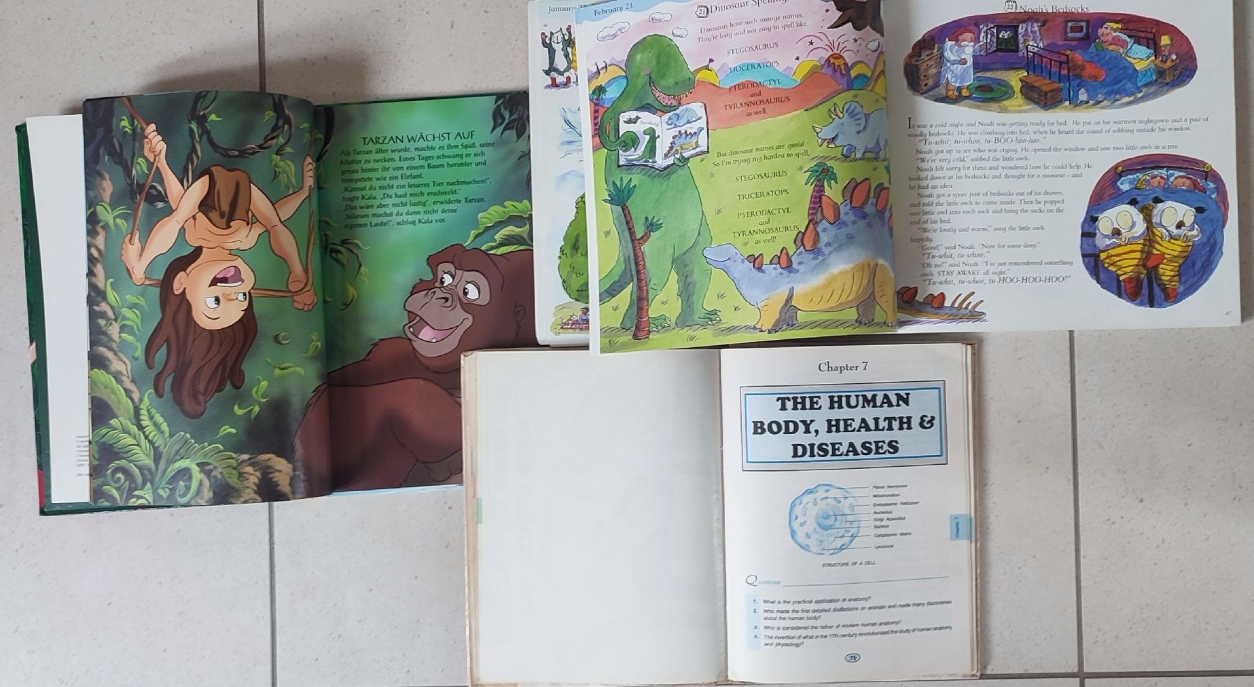 Libri: children's books – Usato da Niederhasli venduto da jai_rfy9 1