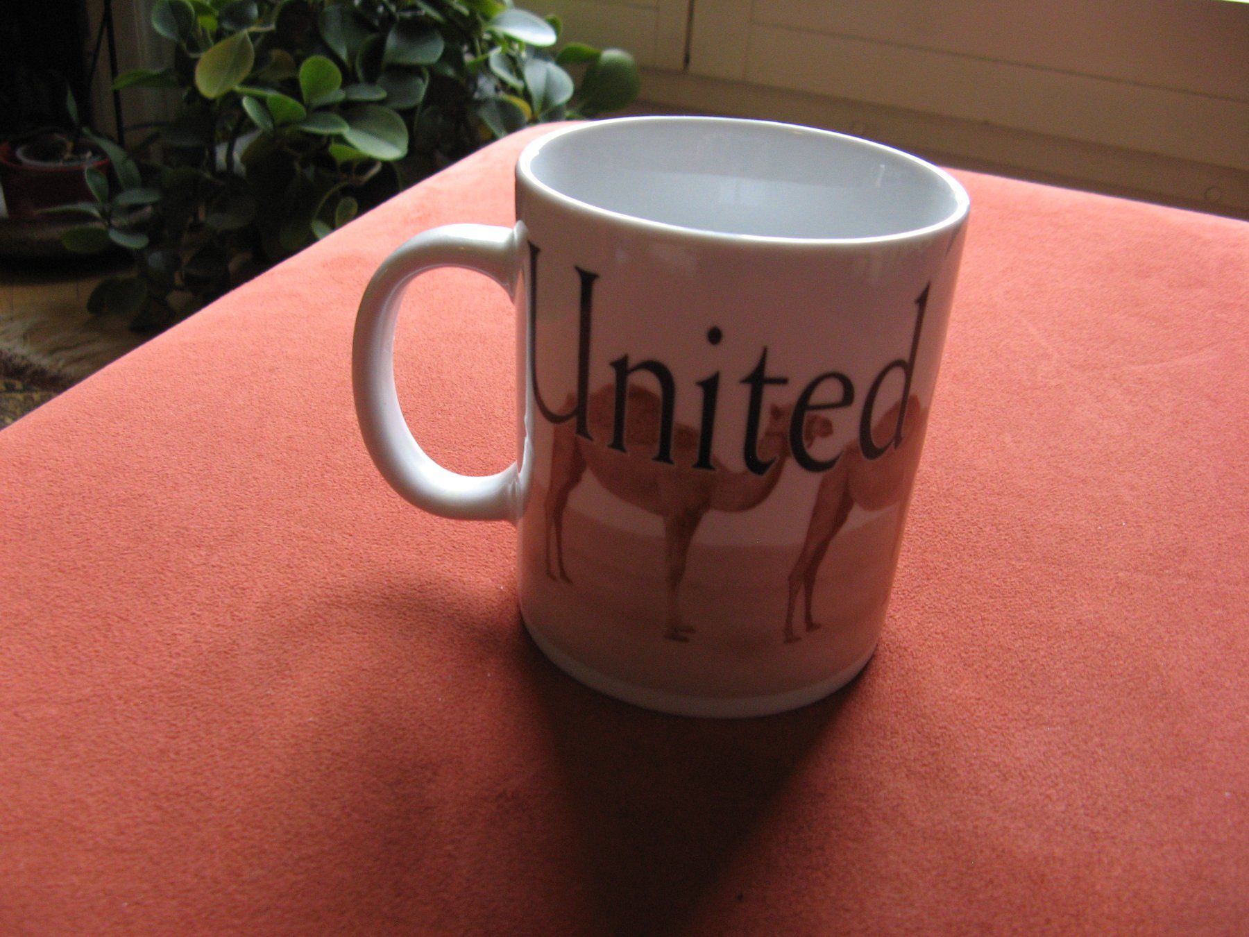 Starbucks Tazze: Starbucks Tasse United Arab Emirates – Usato da Zürich venduto da apil