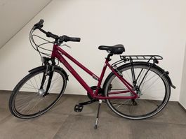 Cityvelo California rosa mit Gepäckträger gebraucht