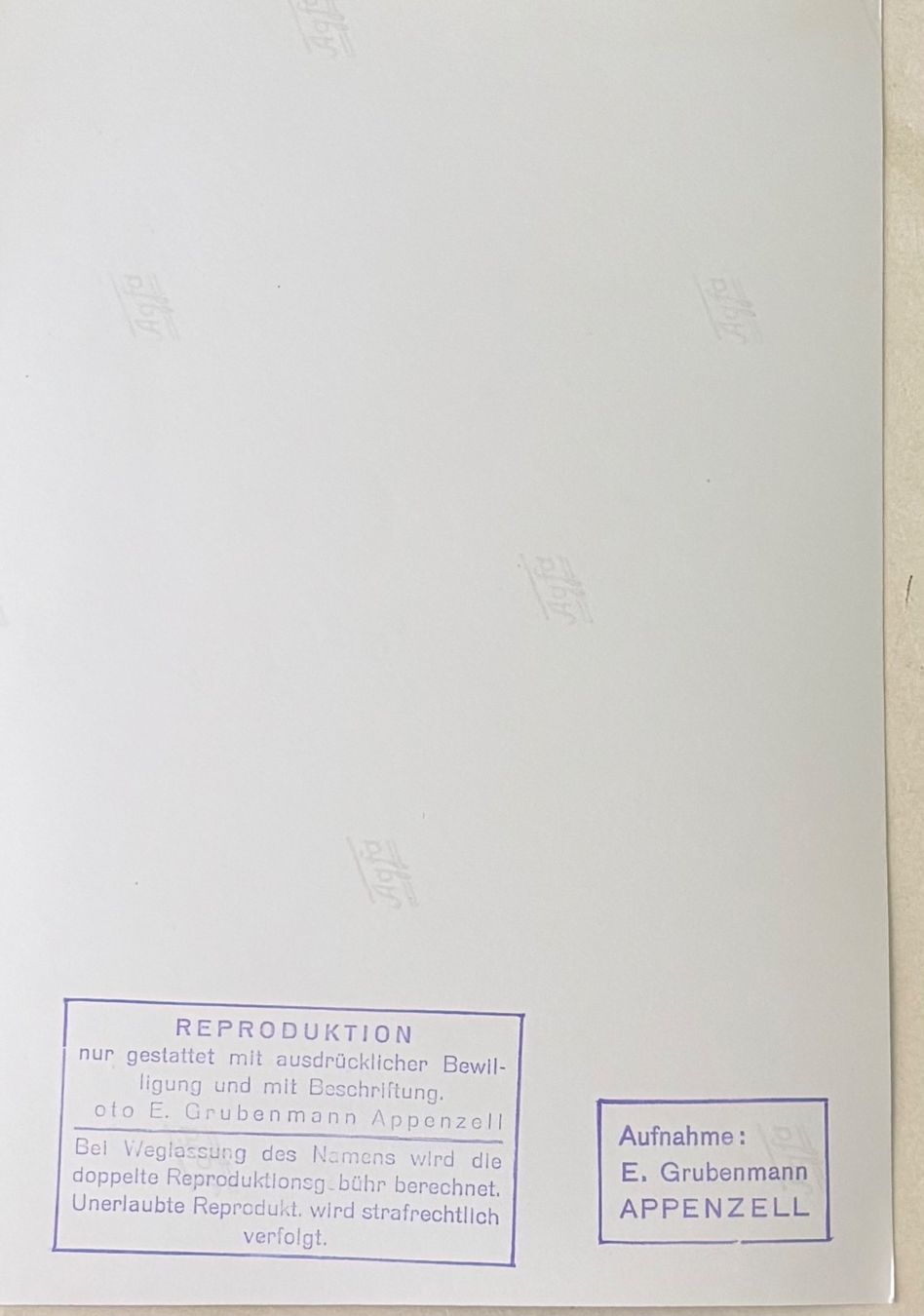 Cartes postales: Foto E. Grubenmann, Appenzell, Landsgemeinde Hundwil – D'occasion à Frauenfeld par Merk52 1