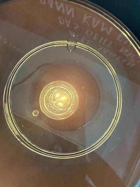 Lampen: Tischlampe Trans Parent, mit Silber Schirm, Ausstellungsmode – Gebraucht aus Lenzburg von Buerokonz 2