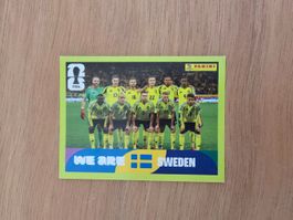 Panini Fifa SWE 13