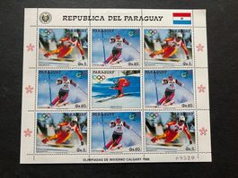 Paraguay  Olympia Winter Calgary 1988 Block ** (E963)