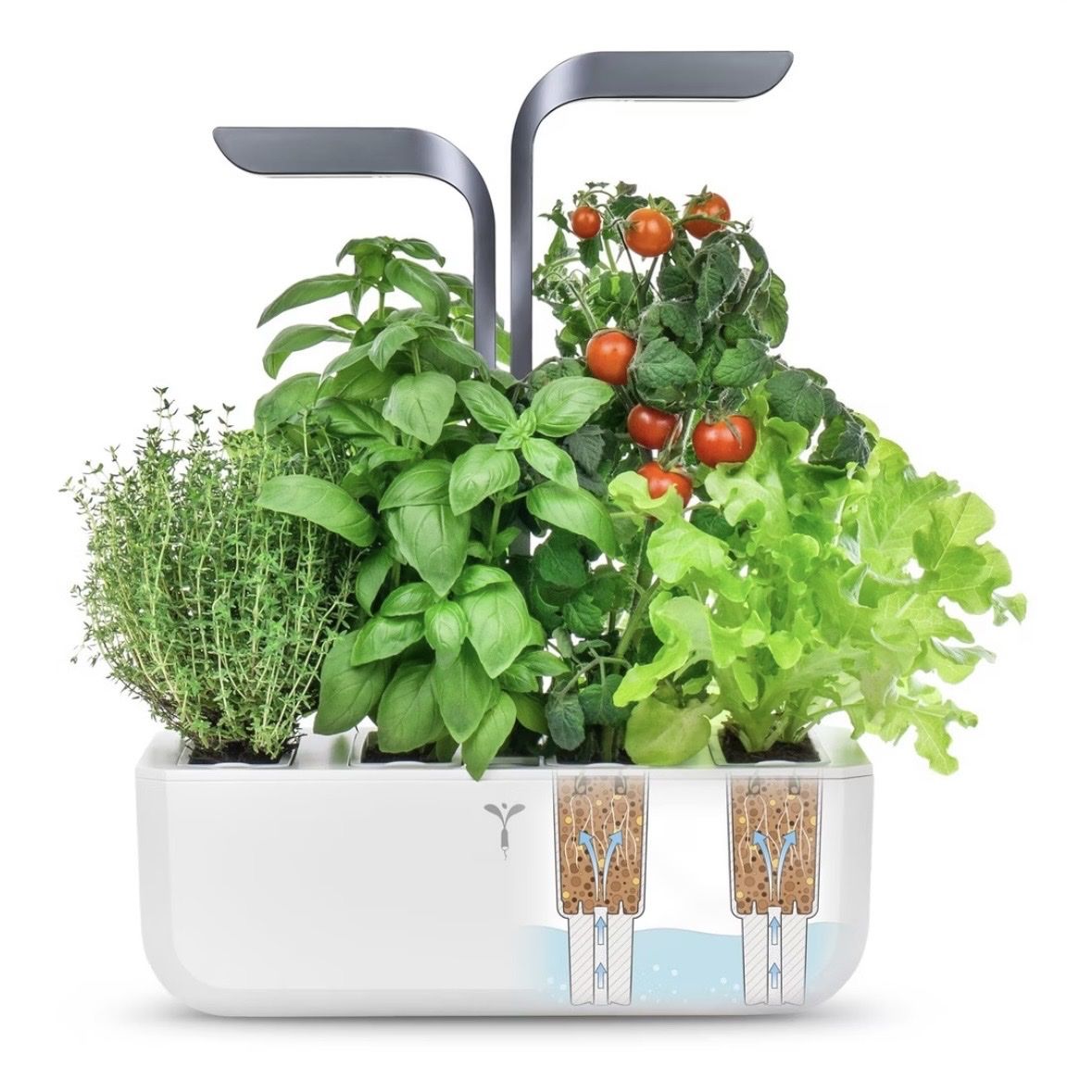 Box contenitori: Veritable, 4 Fach, Weiss – Usato da Madetswil venduto da slougan88 2