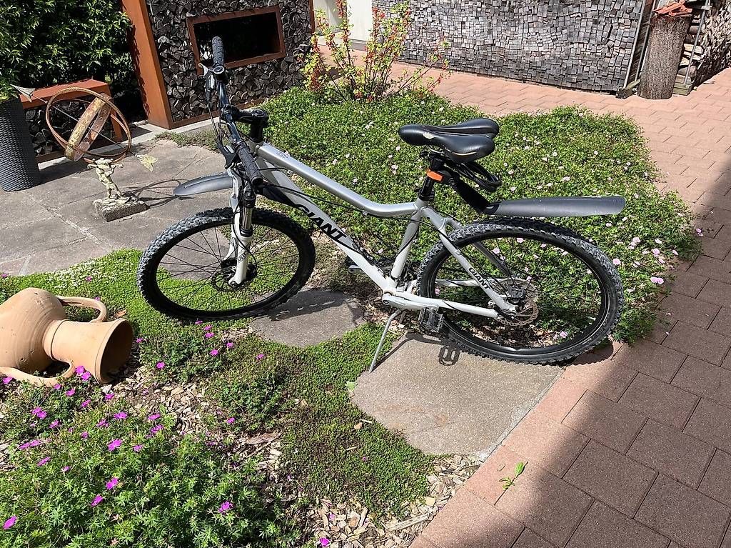 Biciclette: MTB für Damen – Usato da Winterthur venduto da Mittagsspitz