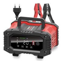 PRO Auto-Batterie-Ladegerät 12V/24V 20A