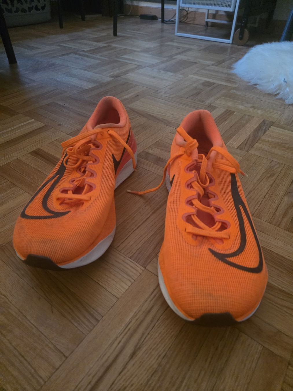 Nike Scarpe da uomo: nike zoom fly 5 carbon – Usato da Lausanne venduto da Lennox09