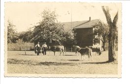 Landwirtschaft - Appenzeller Bauernhaus  Bauer Kühe - Tracht